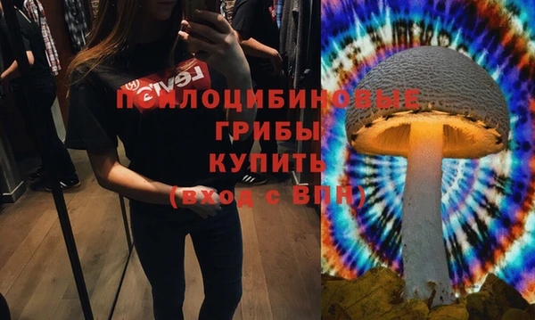 ALPHA PVP Алексин