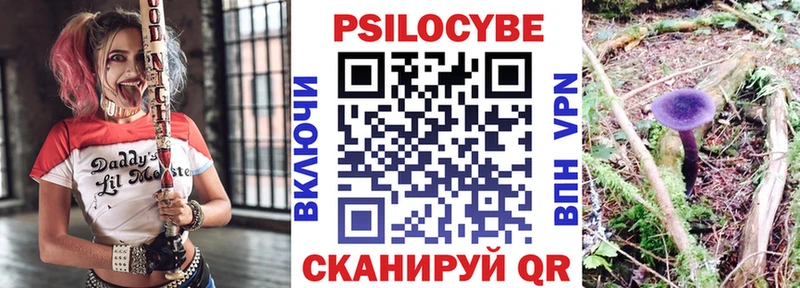 Псилоцибиновые грибы Psilocybine cubensis  omg вход  Бежецк 